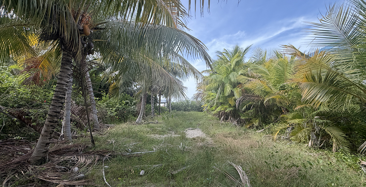 Vista Cove Lot for sale with moorage space for boats
