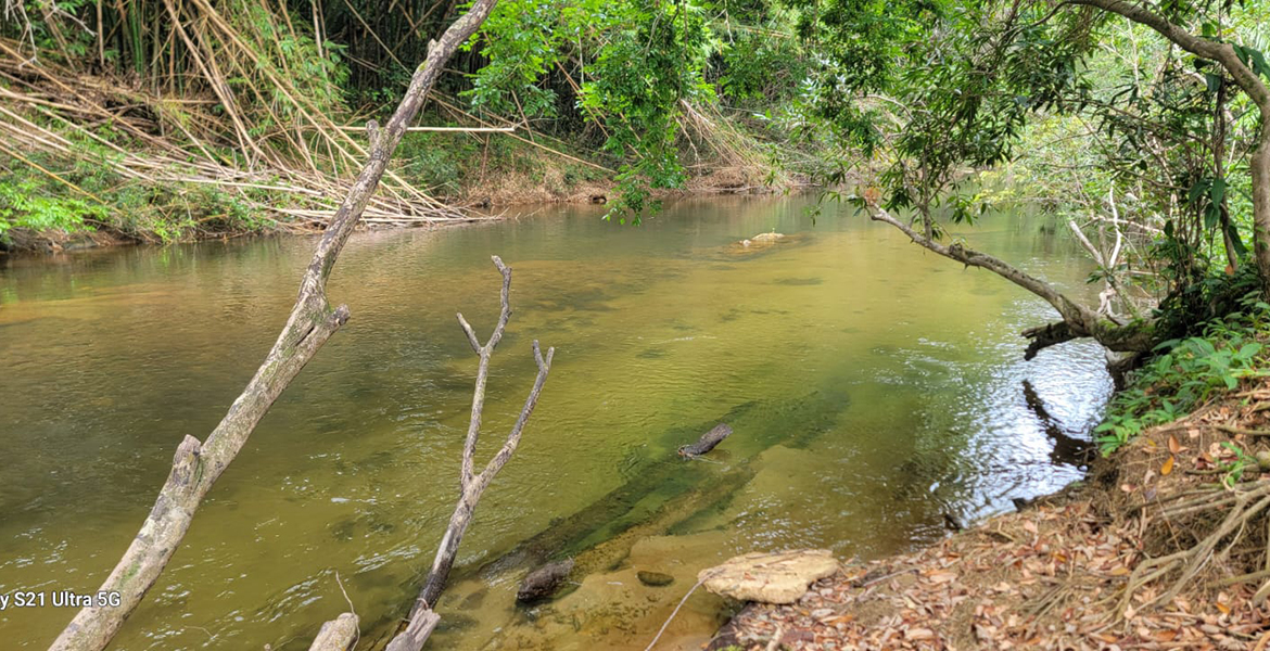 10-Acre Riverfront Homestead in Mullins River