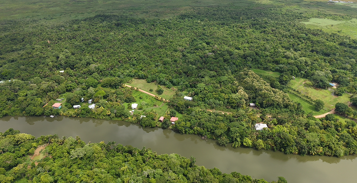 Prime 9 Acre Parcel of Pristine Jungle