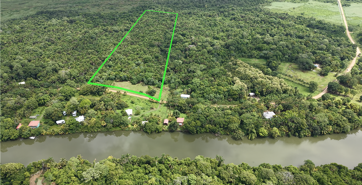 Prime 9 Acre Parcel of Pristine Jungle